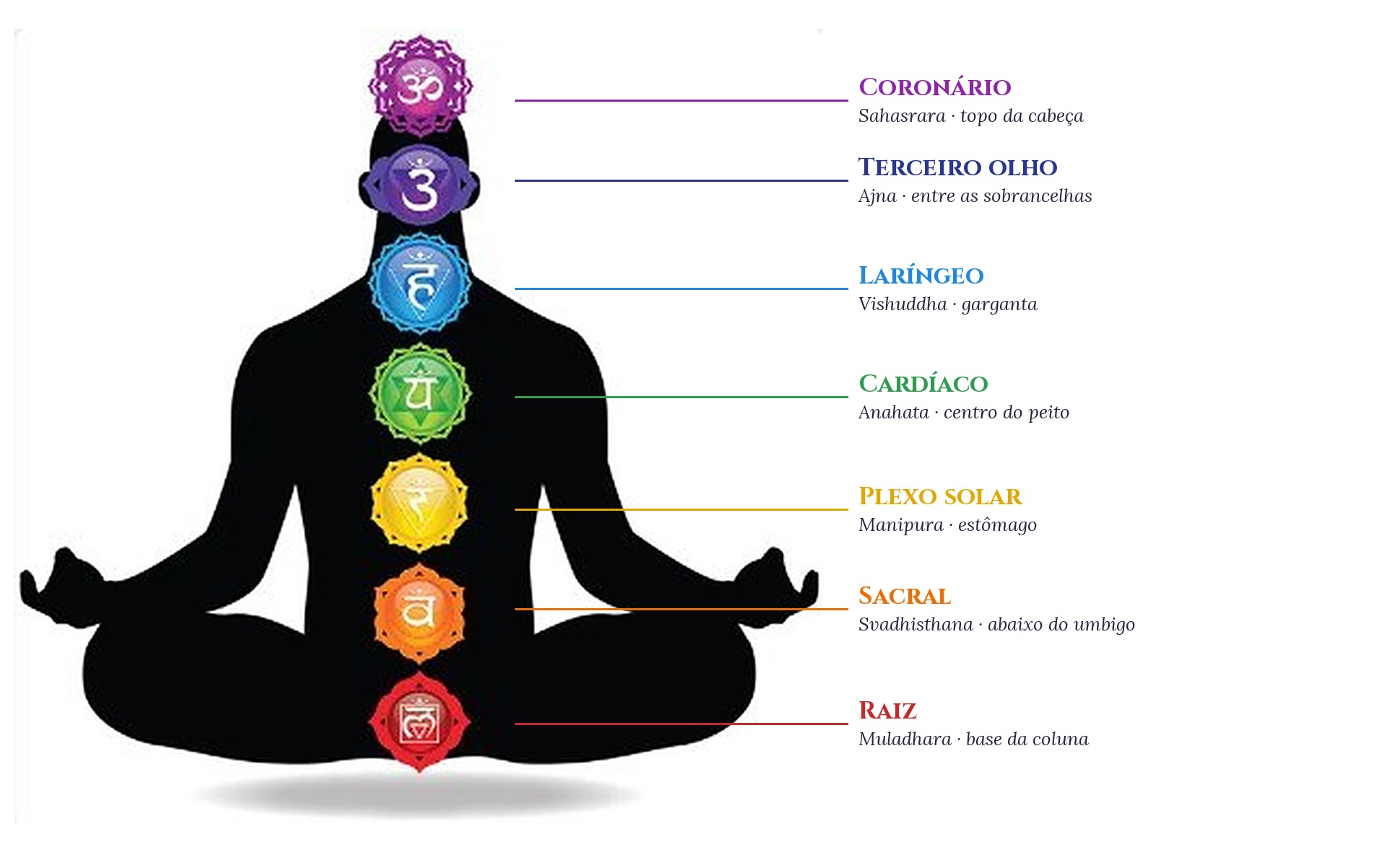 Silhueta em meditação com os 7 chakras ao longo da coluna, do raiz ao coronário, com os nomes em português e em sânscrito