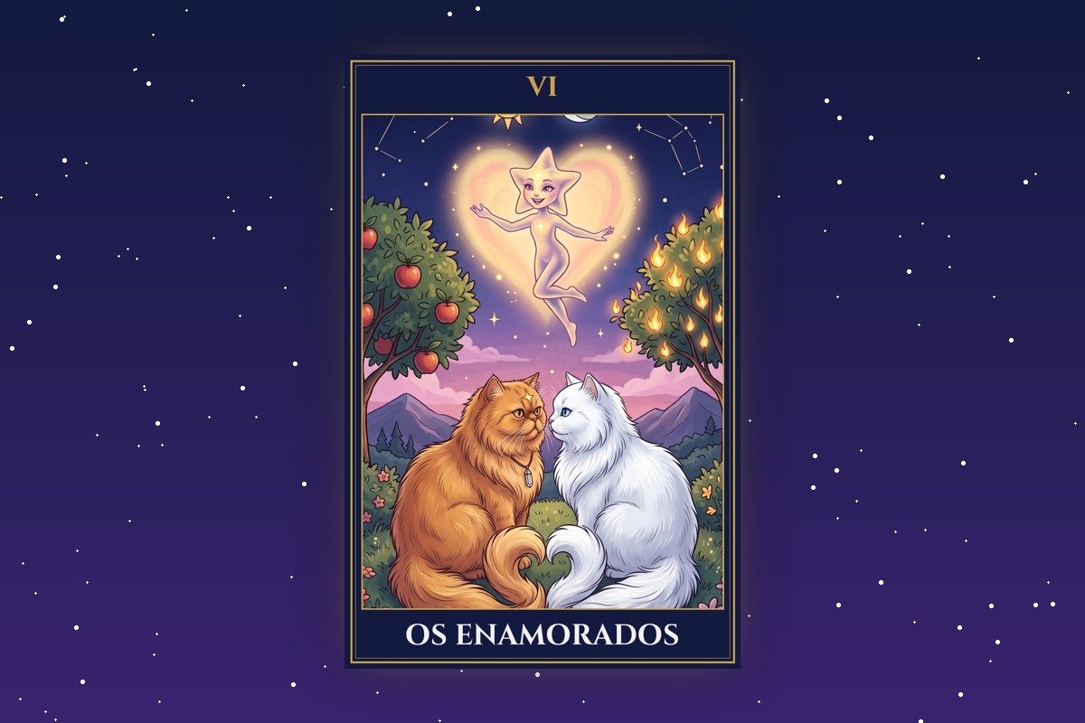 Tarô e amor: o que as cartas mostram sobre os seus relacionamentos